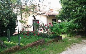 Agriturismo Norianino